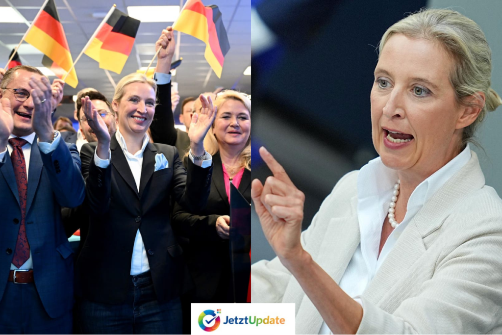 alice weidel und Ihr Masterplan für das Superwahljahr 2026 alice weidel